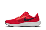 Кроссовки Nike Air Zoom Pegasus 39