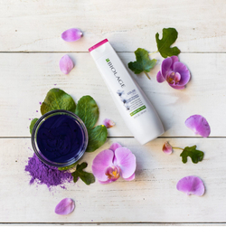 Biolage Essentials ColorLast - Шампунь для осветленных волос с мелированием в оттенке холодный блонд /   250  ml  / GTIN 3474636728367