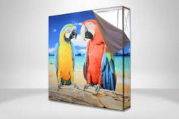 Стенды SEGWall