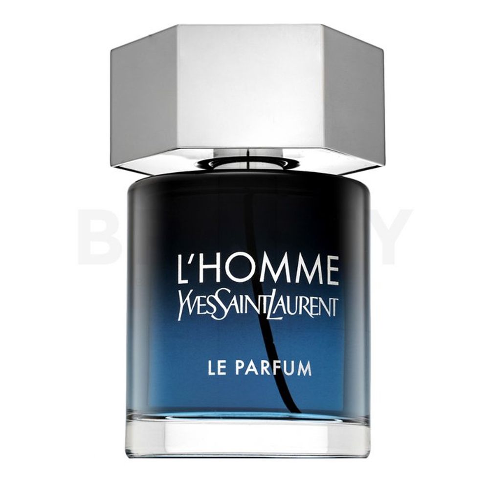 Yves Saint Laurent L'Homme Le Parfum EDP M 100 ml