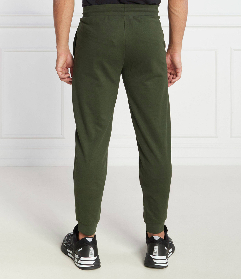 Спортивные штаны EA7 - зеленый(6RPP73 PJ05Z)