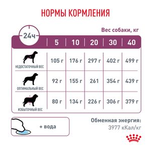 Корм для собак, Royal Canin Renal RF14, при хронической почечной недостаточности