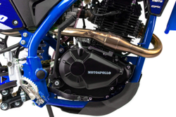 Мотоцикл кроссовый Moto Apollo M4 300 (175FMN PR5) 21/18 Blue