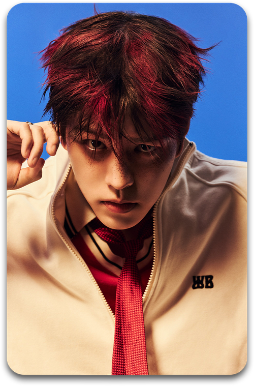 Карта / STRAY KIDS #4227