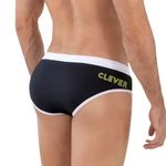 Мужские плавки черные SERENE SWIMSUIT BRIEF 162411