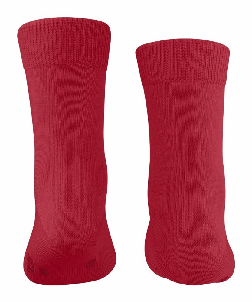 Носки Family FALKE 12998/8150