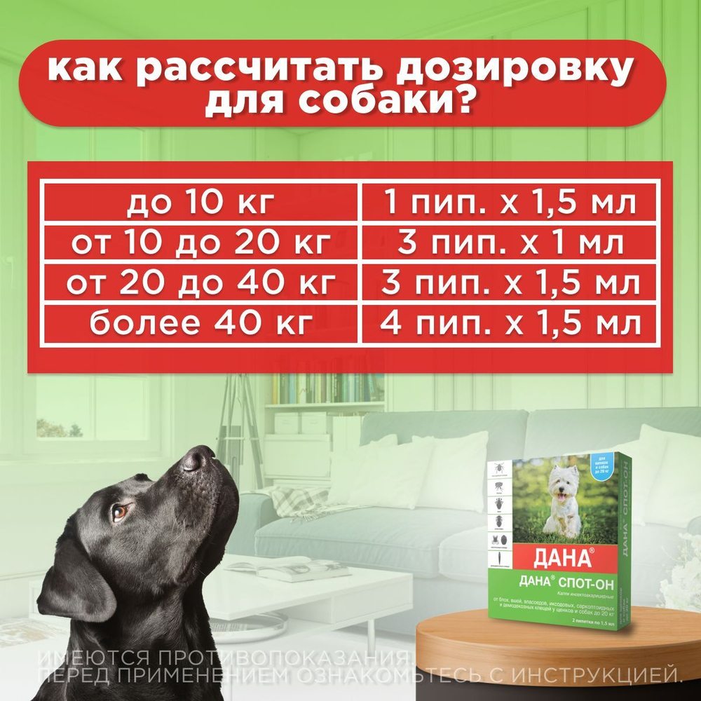 Капли на холку от блох, клещей, вшей и власоедов для щенков и собак до 20 кг Дана Спот-Он (Apicenna), 2 пипетки Фипронил