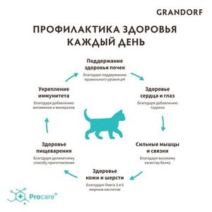 Сухой корм Grandorf CAT Lamb&Turkey KITTEN для котят, ягнёнок с индейкой