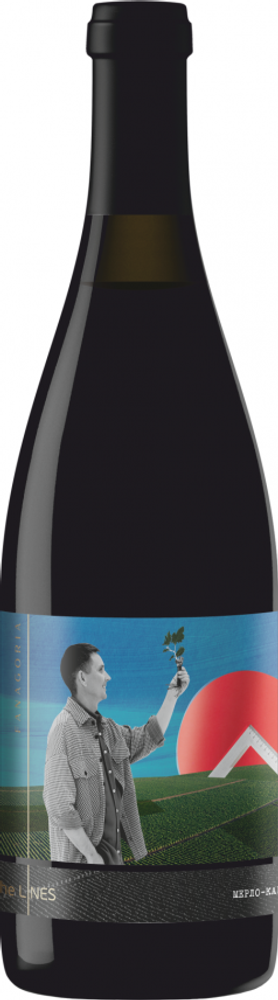 Вино Линия Мерло-Каберне Вино Линия Мерло-Каберне