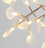 Pendant design lamp  Heracleum II by Moooi (Brass,  D100cm)