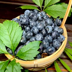 Голубика свежая / 250 гр Голубика свежая / 250 гр