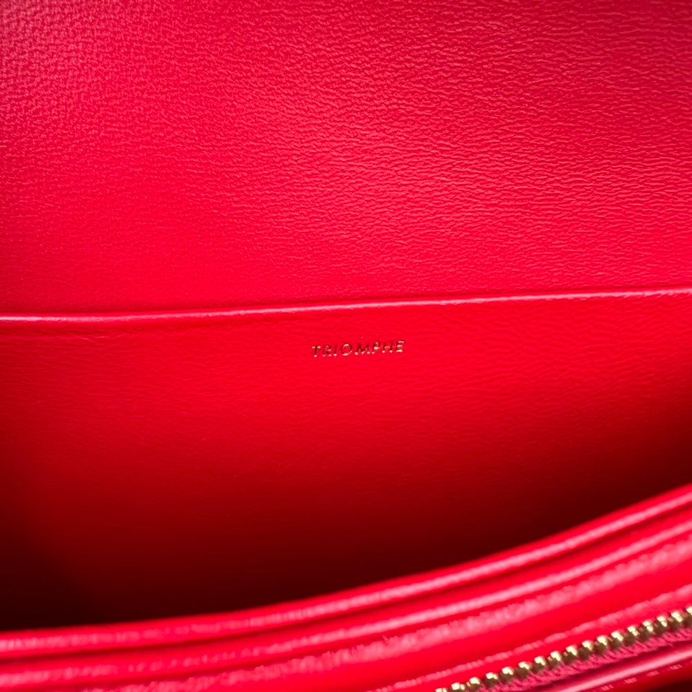 Celine Triomphe Bag 22 cm