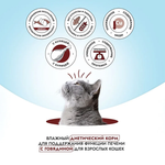 Влажный корм консервы для кошек Best Dinner Vet Profi Hepatic 0,1кг (диета против печеночной недостаточности) говядина консервы для кошек. 12 упаковок