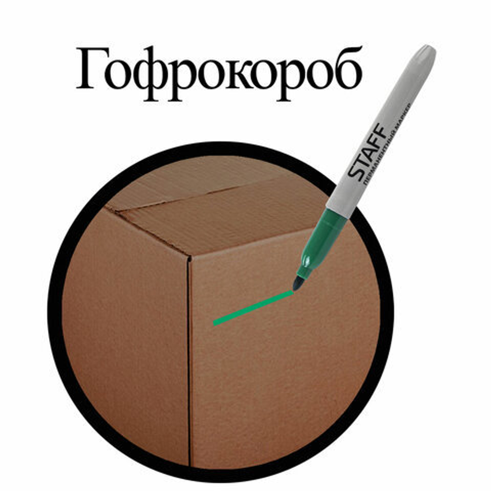 Маркер перманентный (нестираемый) STAFF "EVERYDAY", ЗЕЛЕНЫЙ, эргономичный корпус, круглый наконечник 2 мм, 151236