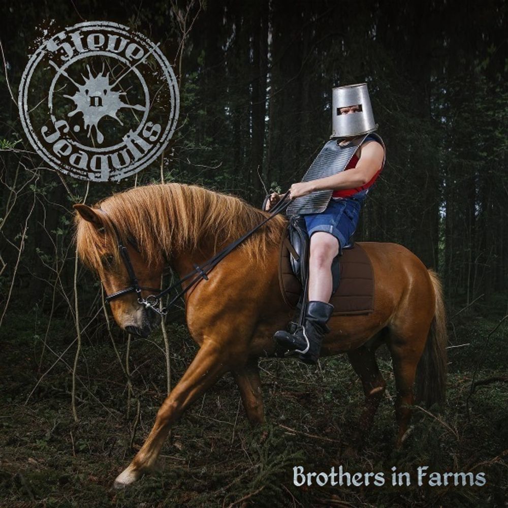 Steve &#39;n&#39; Seagulls / Brothers In Farms (2LP)