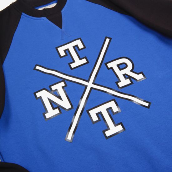 Толстовка Anteater crewneck TEAMLOGO