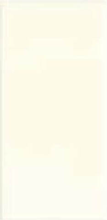 Adex Neri Liso PB Biscuit 10x20