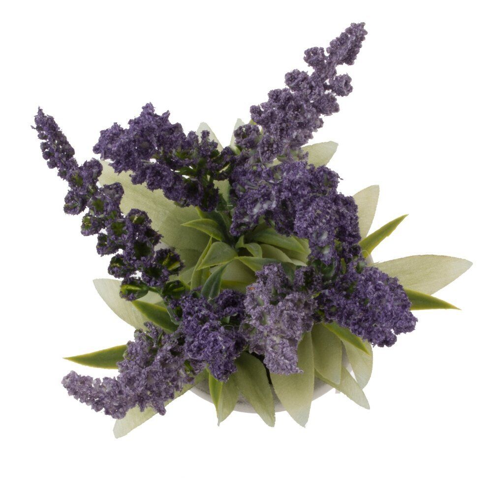 GAEM Цветочная композиция, L8 W8 H22 см