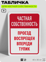 Табличка для частной территории "Частная собственность, впереди тупик", на дом, для участка, организаций, предупреждающая, 40х30 см, Silver Plane x Айдентика Технолоджи