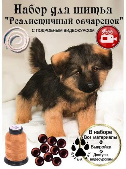 МК с набором для шитья "Реалистичный овчаренок"