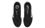 Кроссовки Nike Air Winflo 10