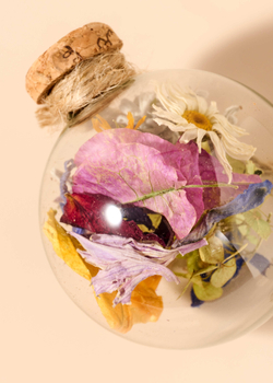 Набор «Яркий и Клементин»