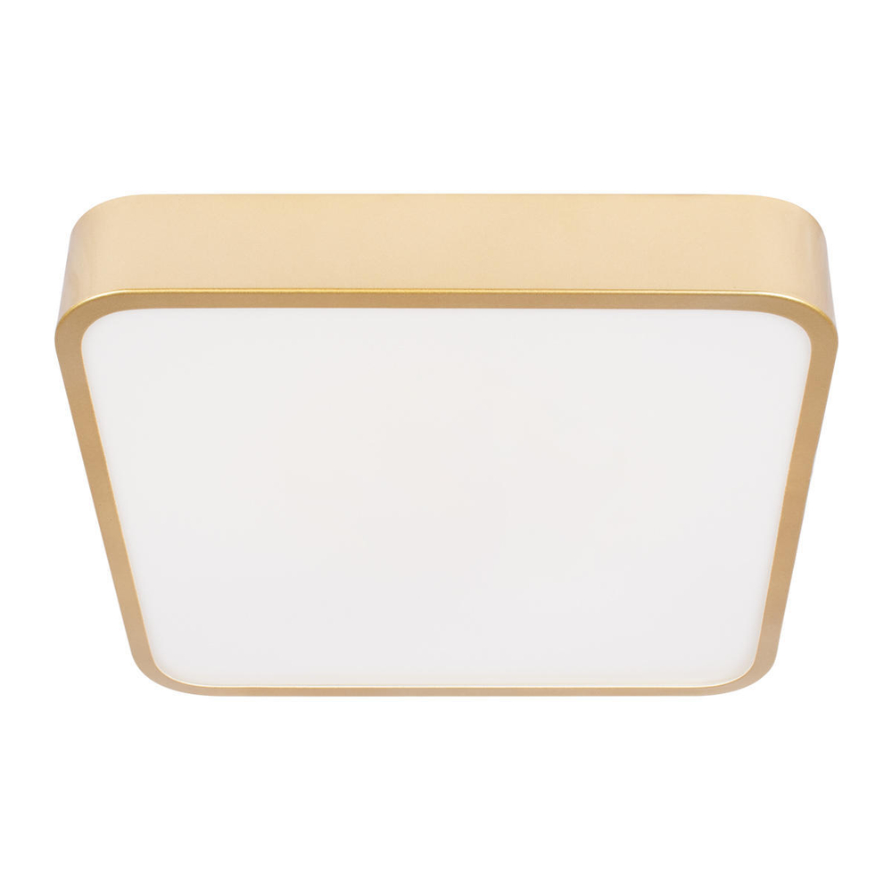 10228/C Потолочный светильник LOFT IT Flims