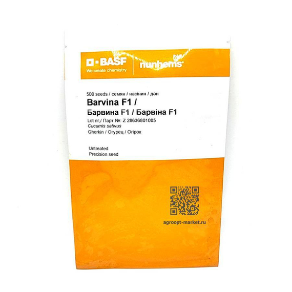 Барвина F1 семена огурца партенокарпического (Nunhems / Нюнемс) – фото 7