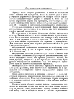 Деревья и кустарники СССР | Н.А. Бородина