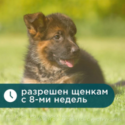 Таблетки жевательные от блох и клещей "Симпарика" 10мг/ для собак мелких пород от 2,5 до 5 кг/ 3 штуки в упаковке