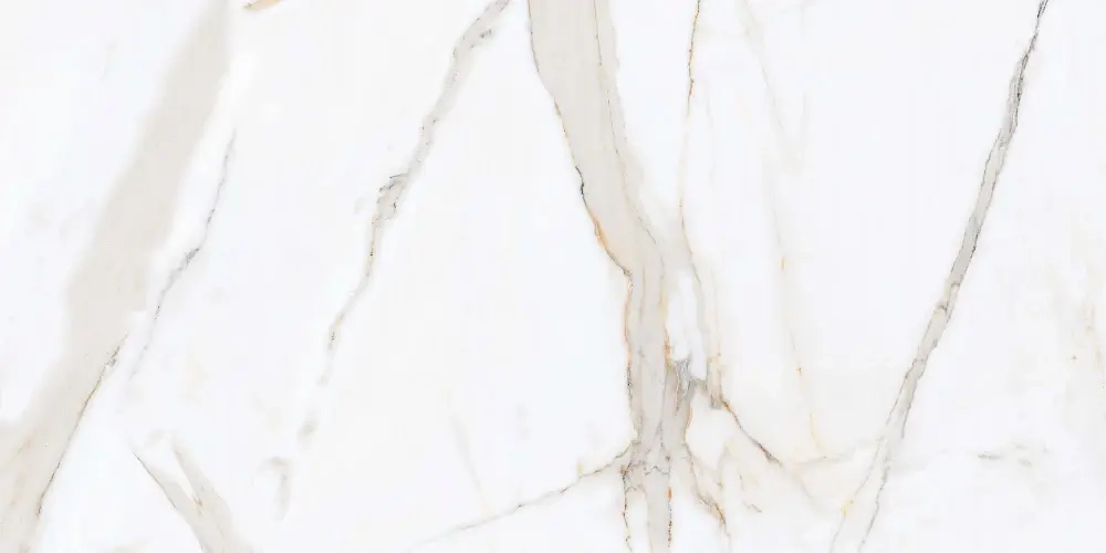 Керамогранит Primavera Regal Carara Polished 60x120 см (PR203)