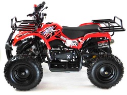 Квадроцикл MOTAX ATV Mini Grizlik X-16