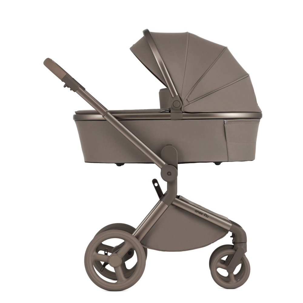 Anex Детская коляска Flo 2 в 1 Yuki