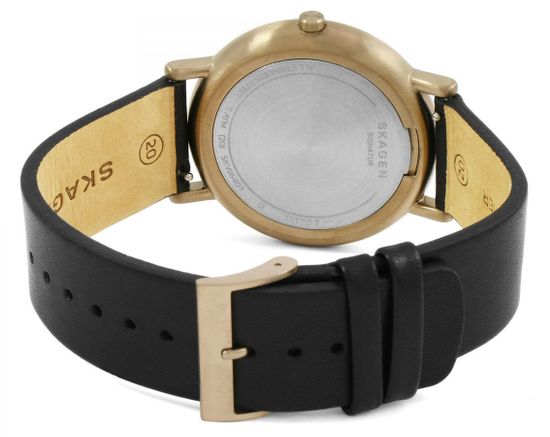 Мужские часы Skagen SKW6401