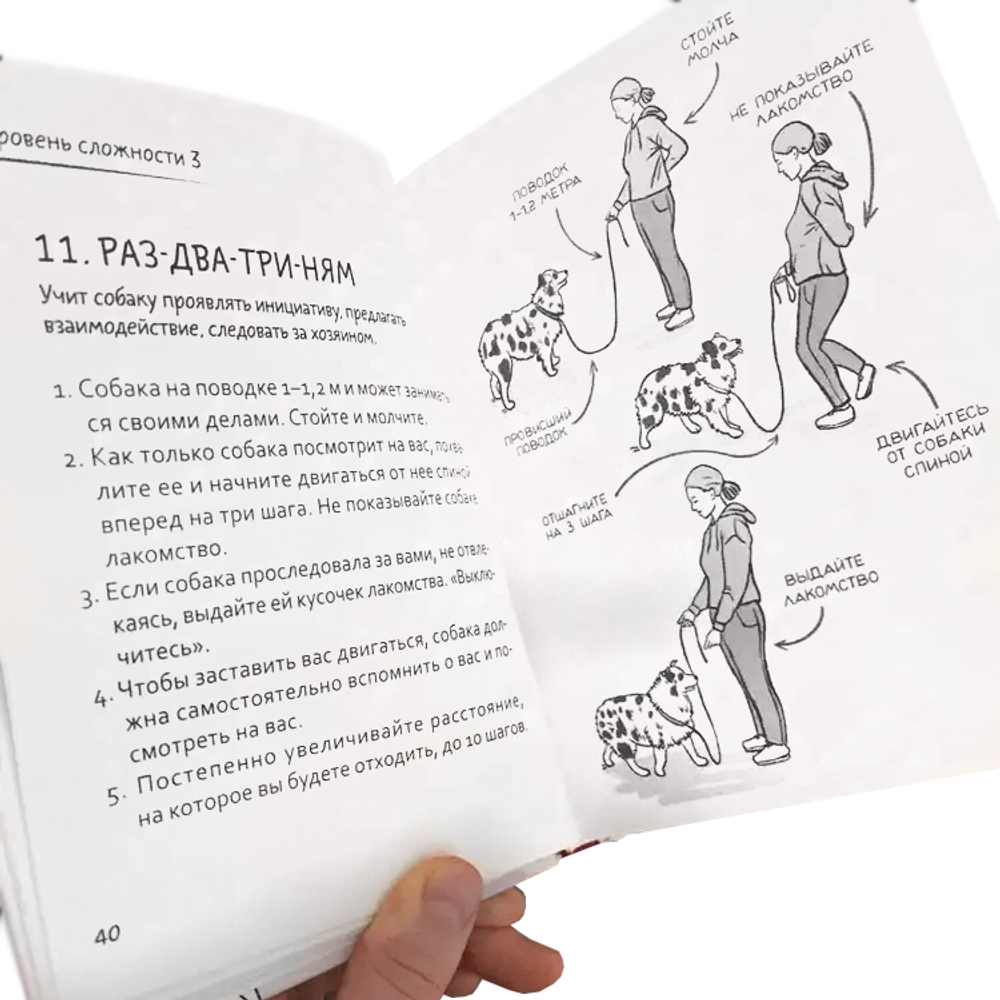 Романова Т.В. Лай-Лай Лэнд. Как правильно играть с собакой