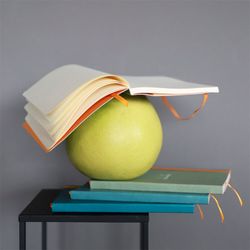 Записная книжка Rhodiarama в мягкой обложке A5 в точку 90 гр Sage зеленая (117440C) 4