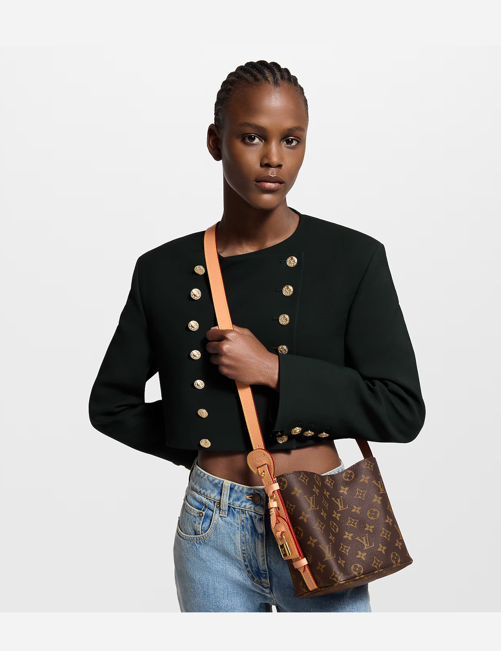 Сумка Louis Vuitton All In BB "Monogram Canvas"