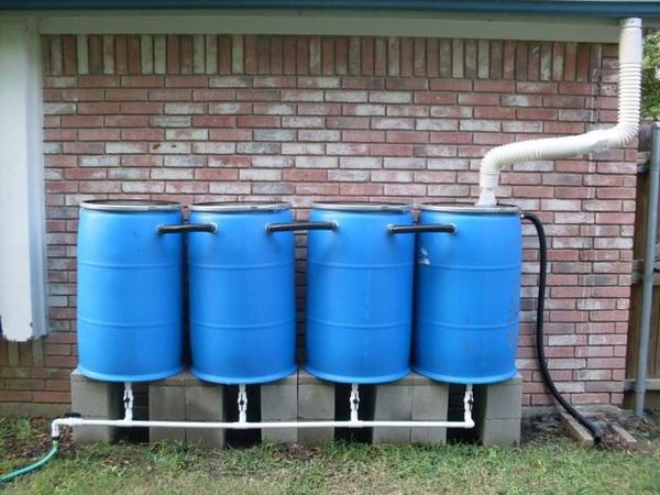 Экономия воды в саду: 5 способов снизить расход