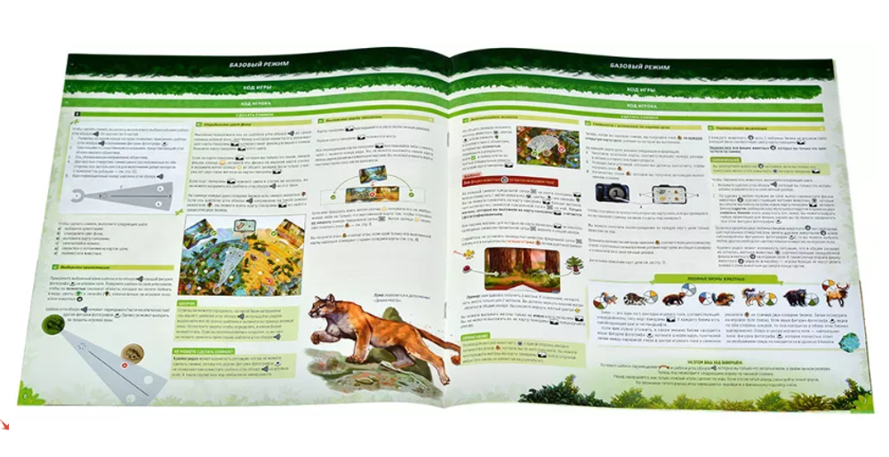 Настольная игра "Редвуд" скорость реакции