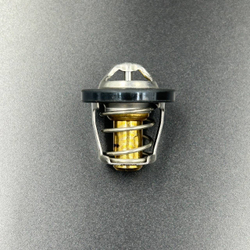 Термостат ATV X8, Z8, U8, X5 H.O, X4, X10 U10 Z10 EPS (ZIBO)