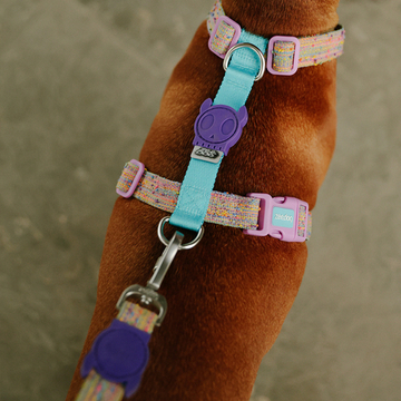 Шлейка UFO Zee.Dog