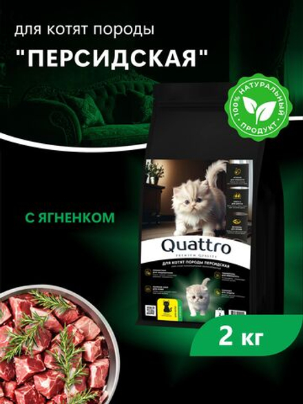 Корм сухой для котят породы Персидская, с ягненком, 2кг, QUATTRO