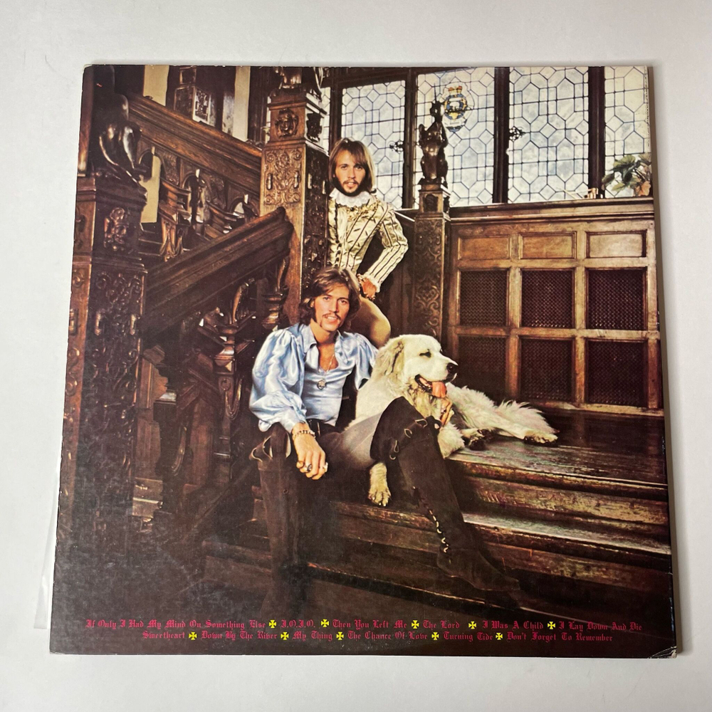 Винтажная виниловая пластинка LP Bee Gees Cucumber Castle (Japan 1976) (No Obi)