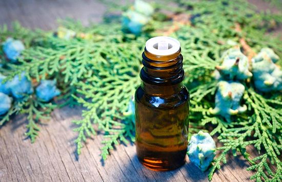 Эфирное масло Туя. 10 мл.