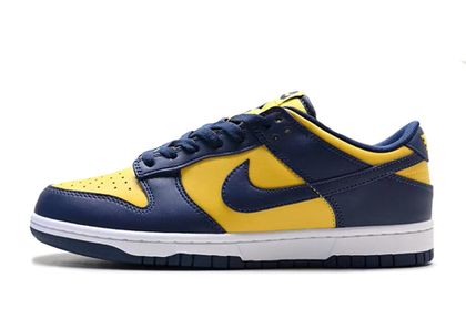 Blue and yellow nike sb 2025