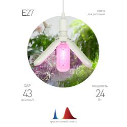 Фитолампа для растений светодиодная ЭРА FITO-24W-RB-E27-FOLD 3-х лепестковая красно-синего спектра 24 Вт Е27