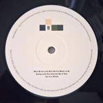 GoGo Penguin / Necessary Fictions (2LP)