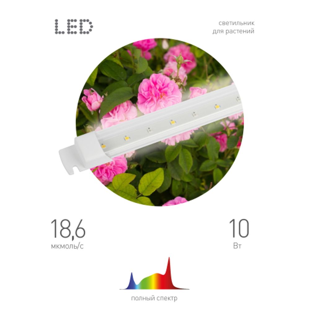 Светильник для растений, фитолампа светодиодная линейная ЭРА FITO-10W-Т5-Ra90-Slim полного спектра 10 Вт Т5