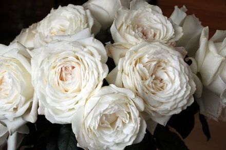 Принцесса Миюки (Princess Miyuki)