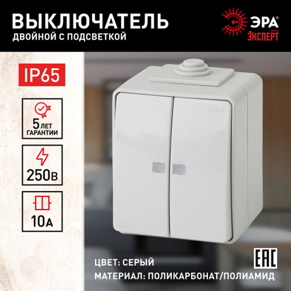 11-1605-03 ЭРА Выключатель двойной с подсветкой IP65, 10АХ-250В, ОУ, Эра Эксперт, серый